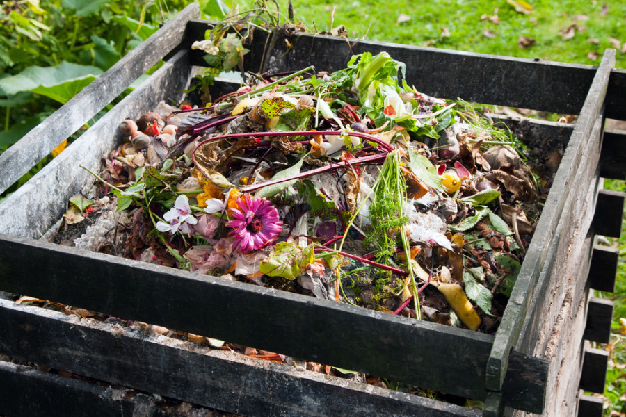 A Comprehensive Guide to Composting for Beginners