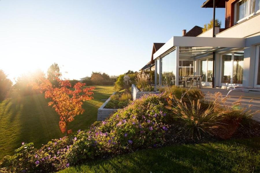Beginner's Guide to Landscaping: Creating a Stunning Outdoor Space